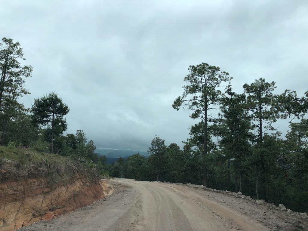 Hallan dos muertos en Pueblo Nuevo - Contacto Hoy