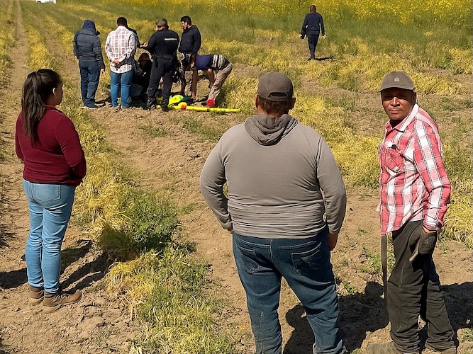 SEMEFO parcela campo