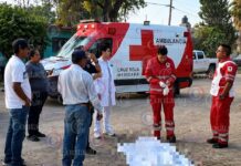 Camión de pasajeros arrolla y mata a una mujer