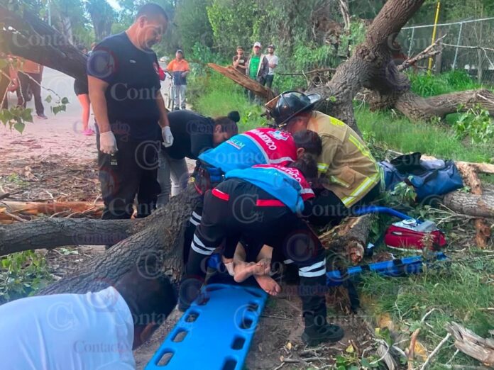 WhatsApp Image 2026-08-14 at 19.55.47 (2)