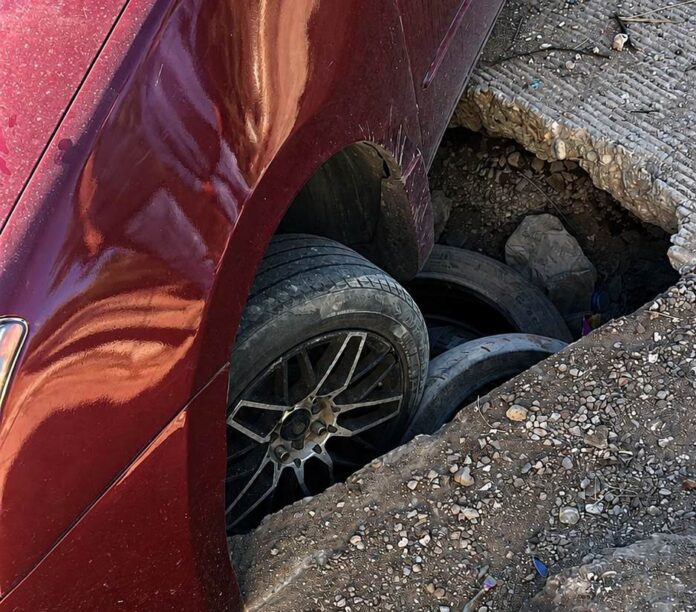 bache