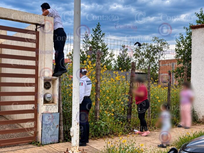 Policía